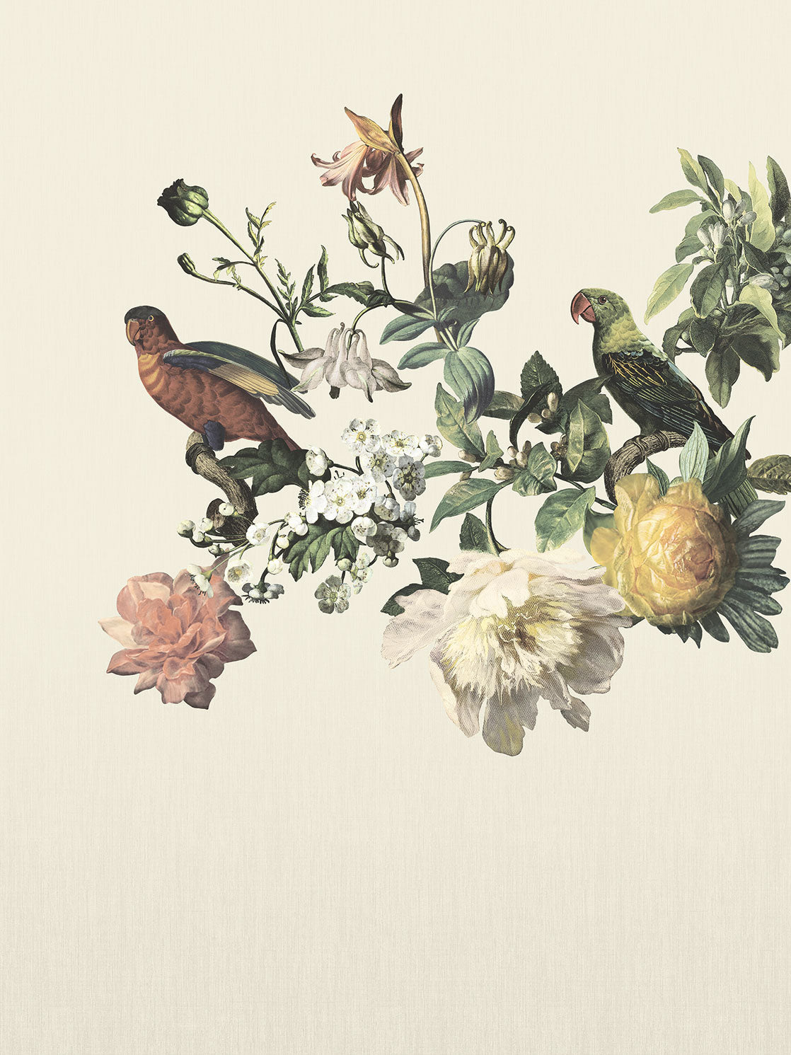 Museum Botanical Floral & Parrot mural