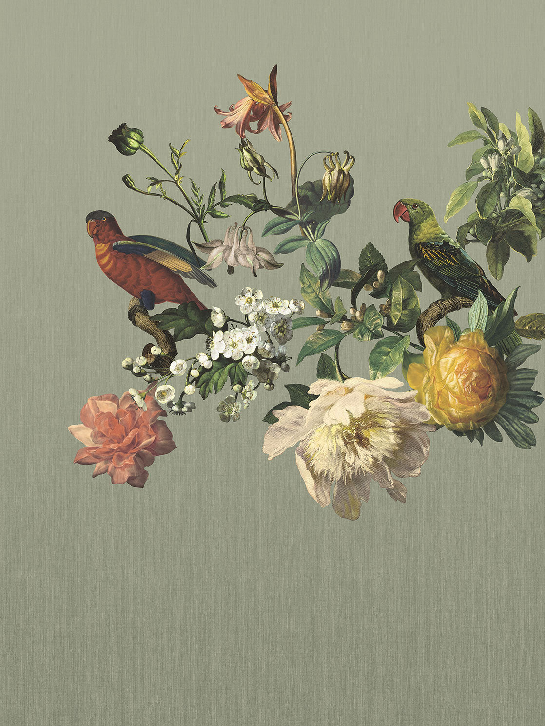Museum Botanical Floral & Parrot mural