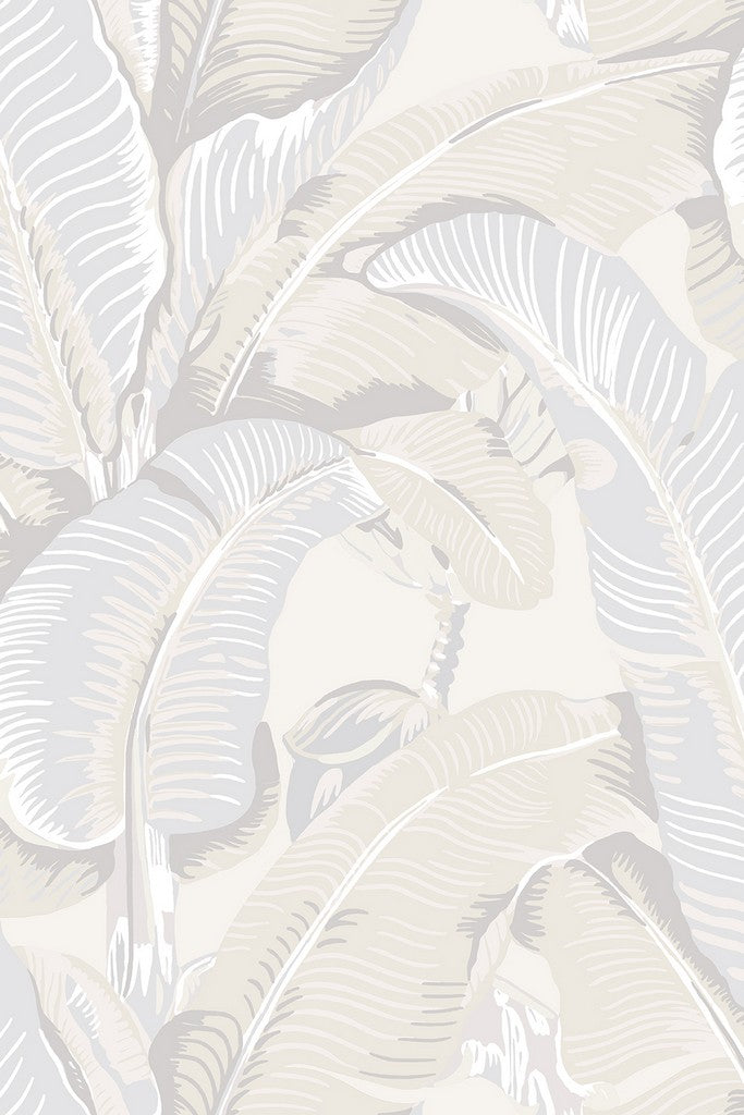 Scalamandré Hinson Palm wallpaper