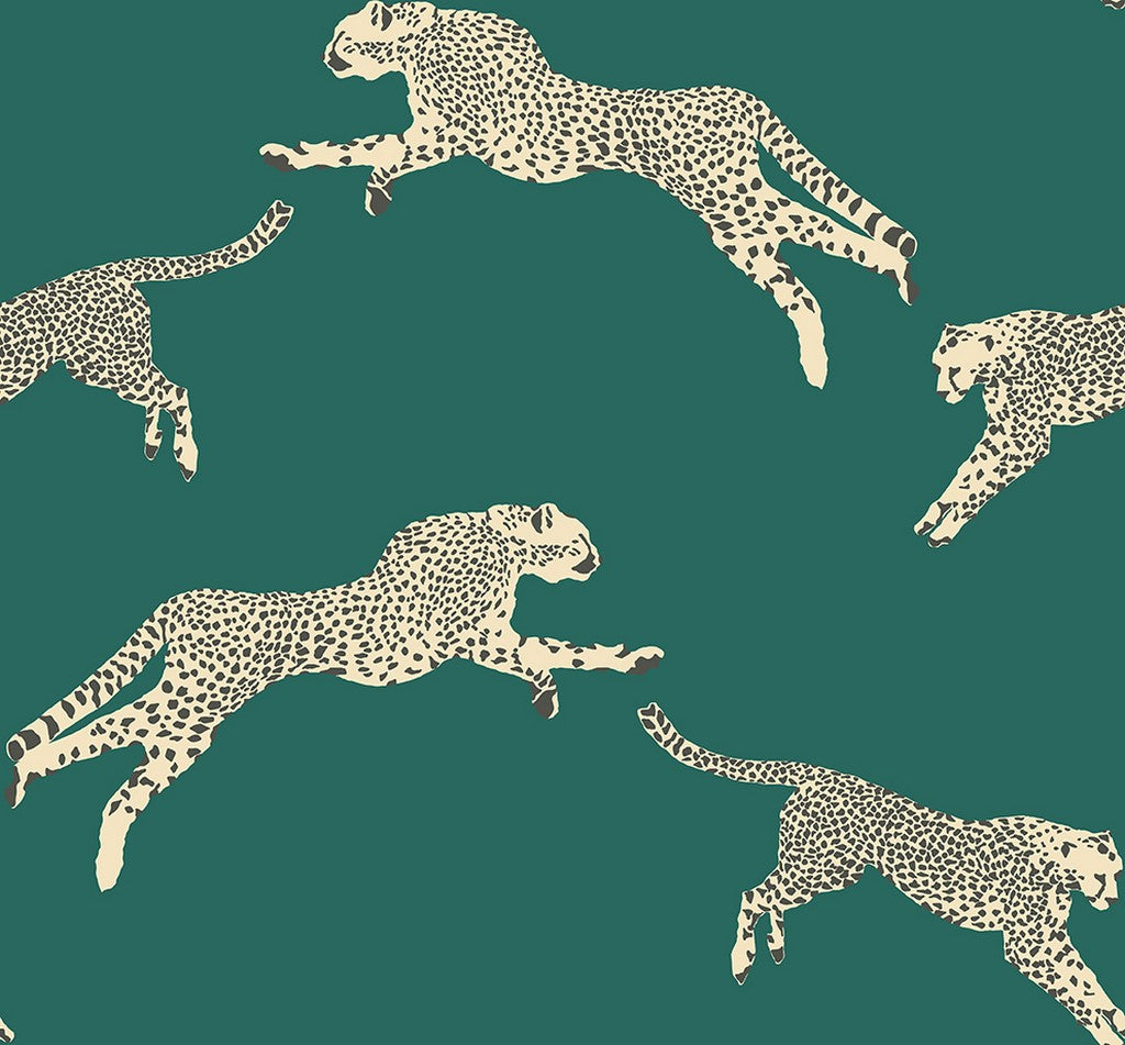 Scalamandré Leaping Cheetah wallpaper