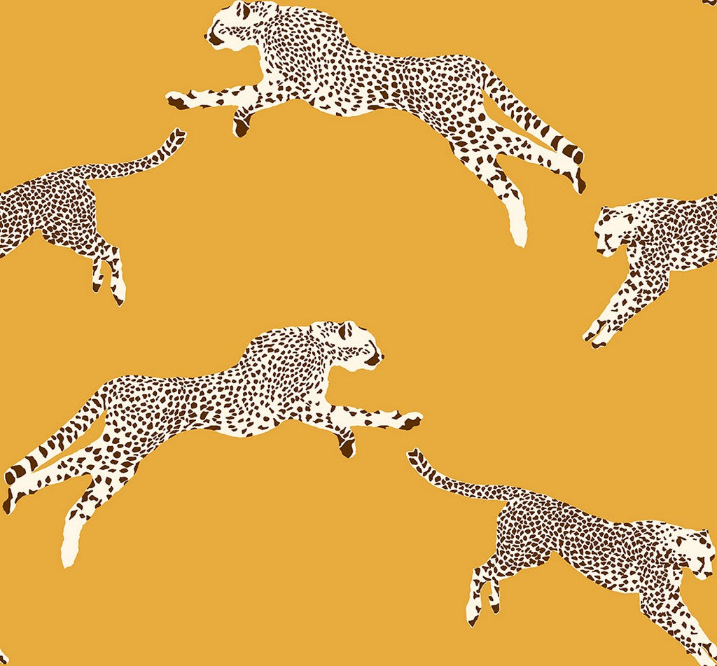 Scalamandré Leaping Cheetah wallpaper