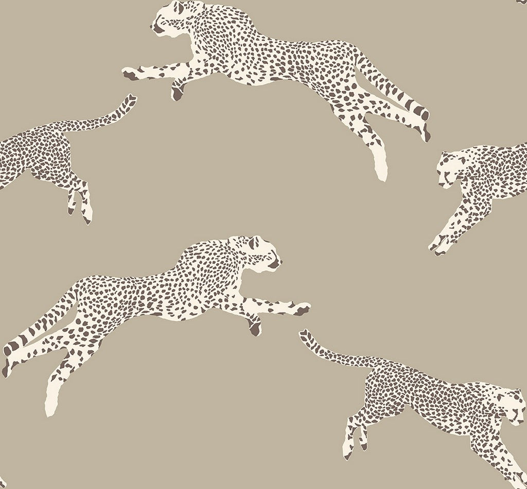 Scalamandré Leaping Cheetah wallpaper