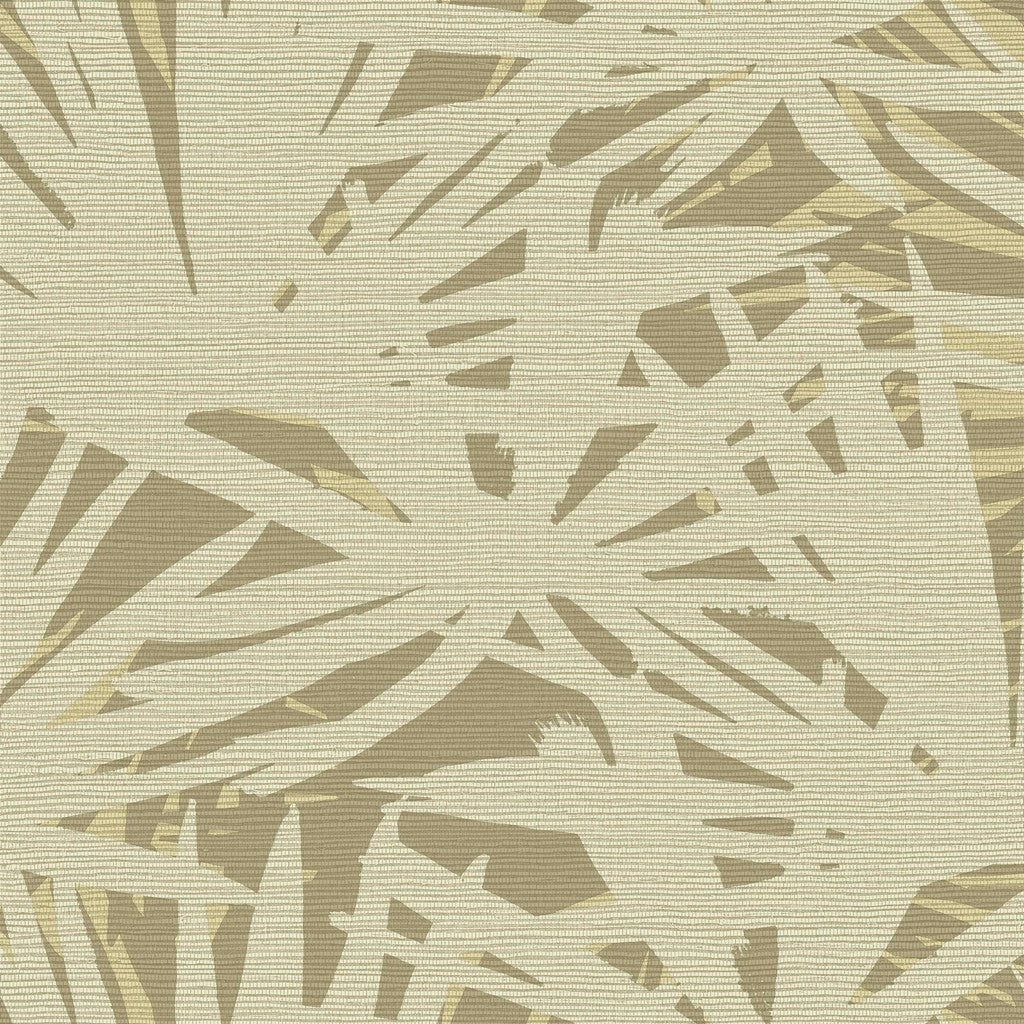 Tiebele Pandanus Palm wallpaper