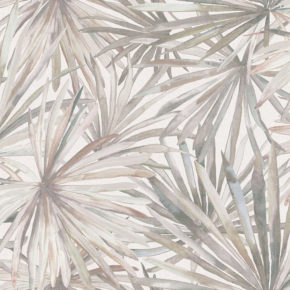 Primavera Corifa wallpaper