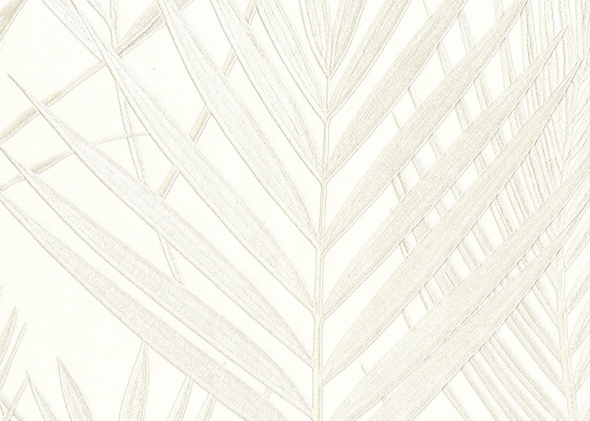 Evolution Borneo Palm wallpaper