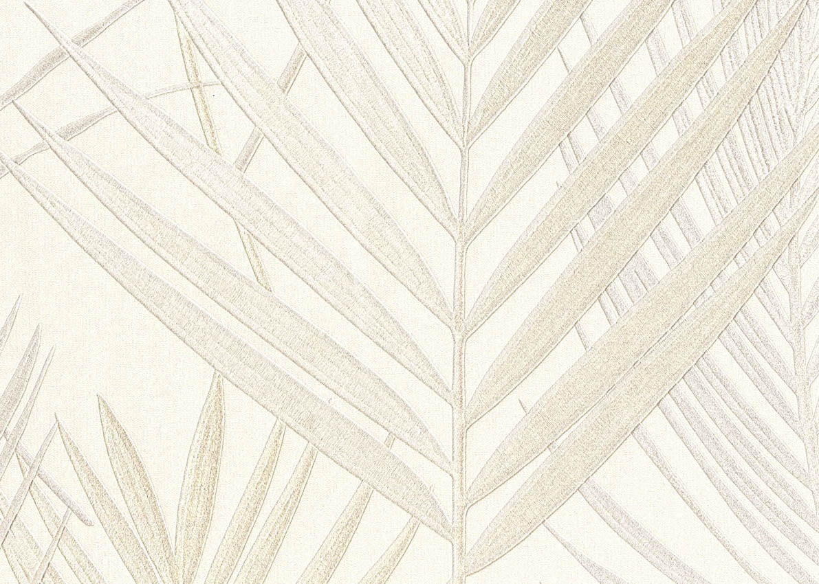 Evolution Borneo Palm wallpaper