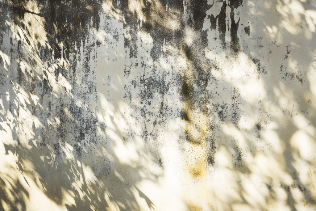 Sunlit mural