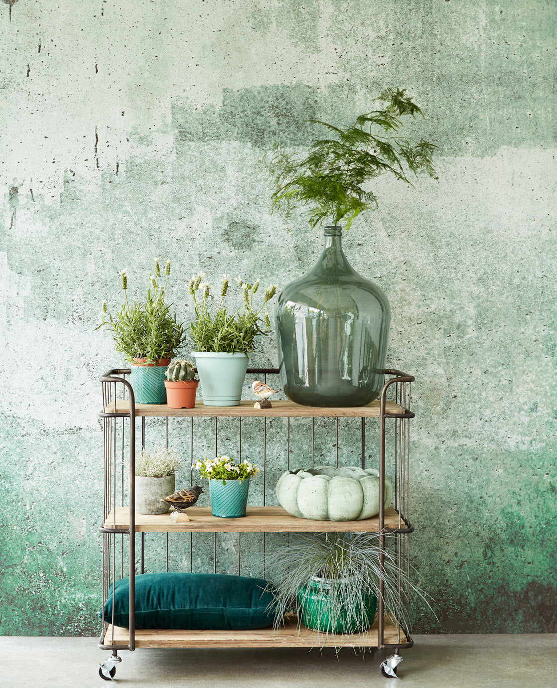 Wallpower Favourites Weathered Wall mural