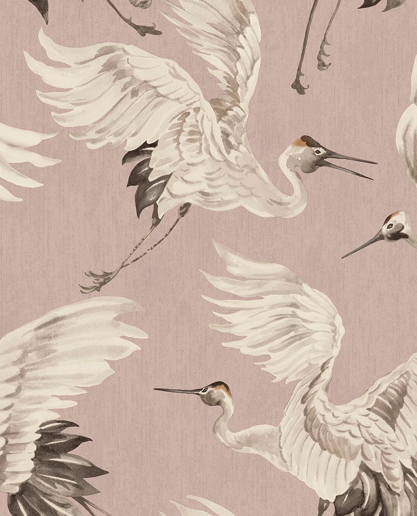 Oasis Flight of the Birds wallpaper