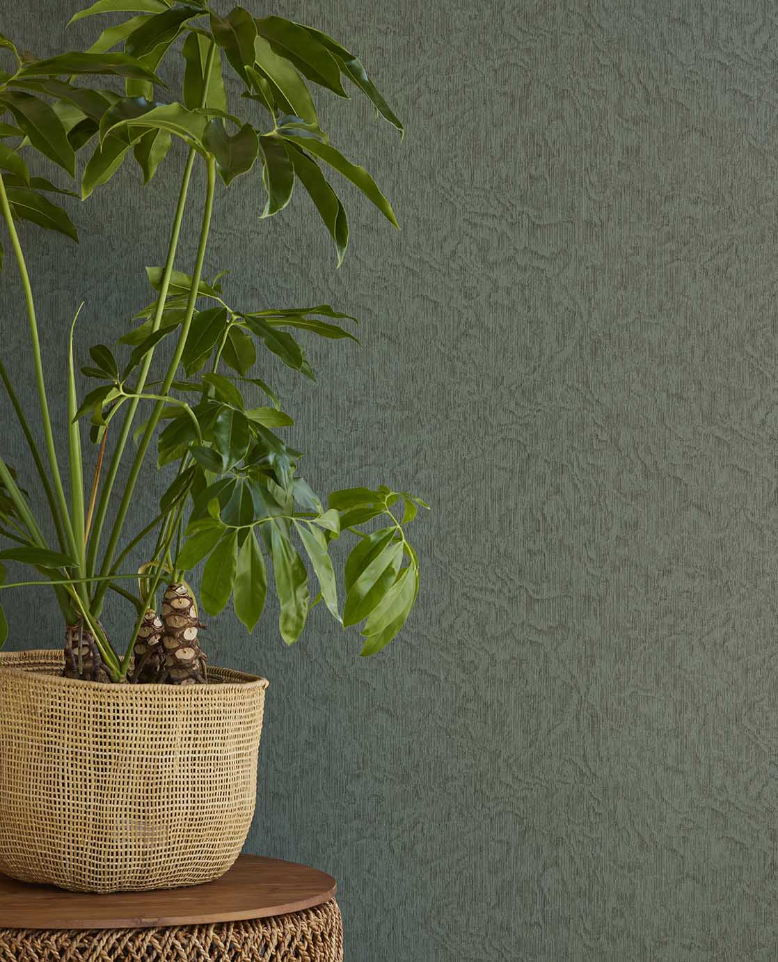 Embrace Watermark Texture wallpaper