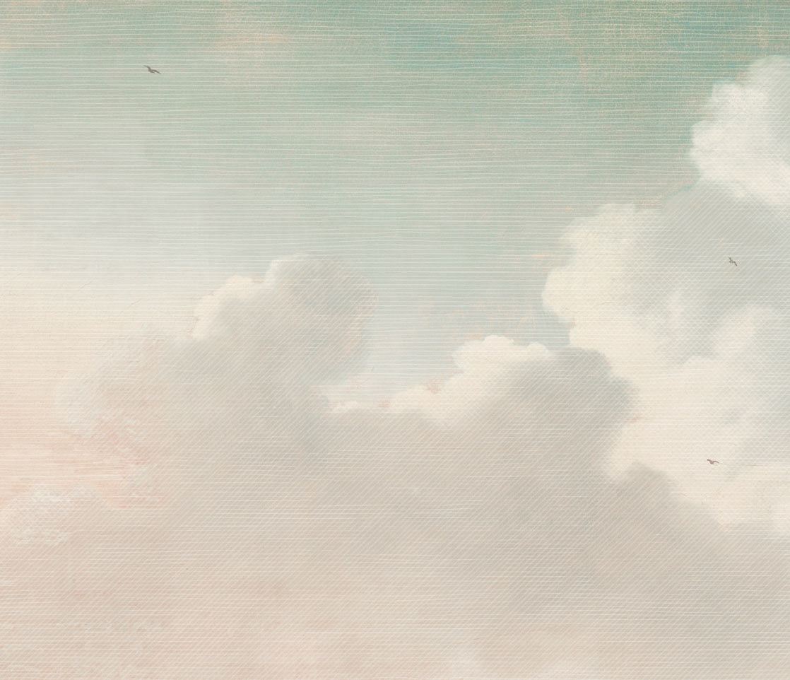 Masterpiece Dutch Cloudy Sky mural