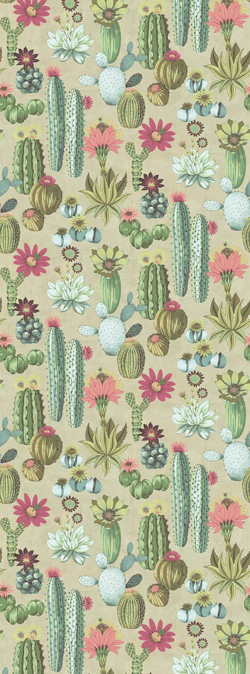 Vivid Cacti mural