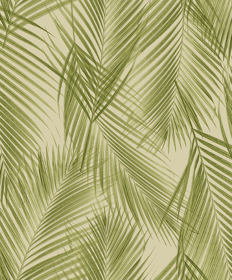 Living Palm wallpaper